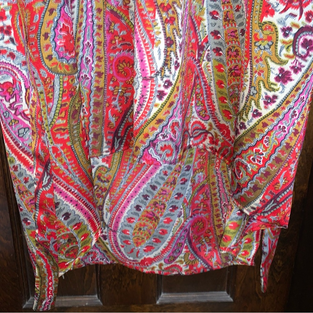*Sale* Zara Paisley Dress - Picture 5 of 7